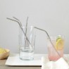 Stainless Steel Drinking Straws (2 Bent + 2 Straight +1 Brush)